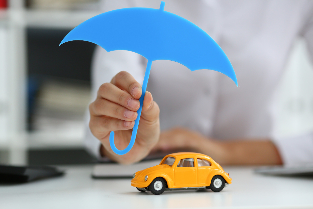Vehiculares
